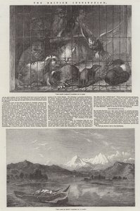 The British Institution by Thomas Earl